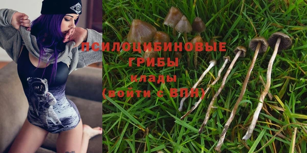 дмт Мегион