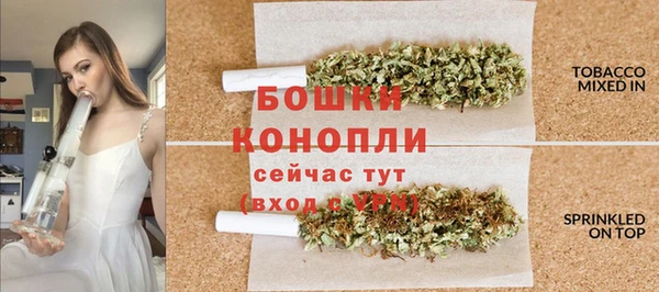 дмт Мегион