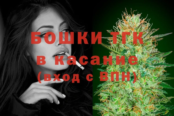 дмт Мегион
