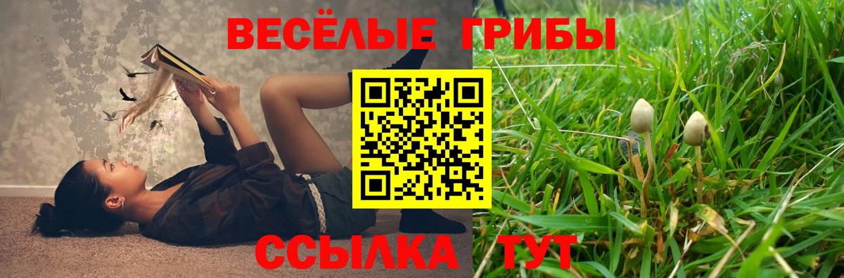 Галлюциногенные грибы Magic Shrooms  Конаково 