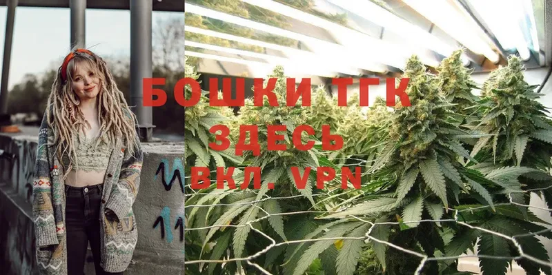 Бошки Шишки THC 21%  Конаково 